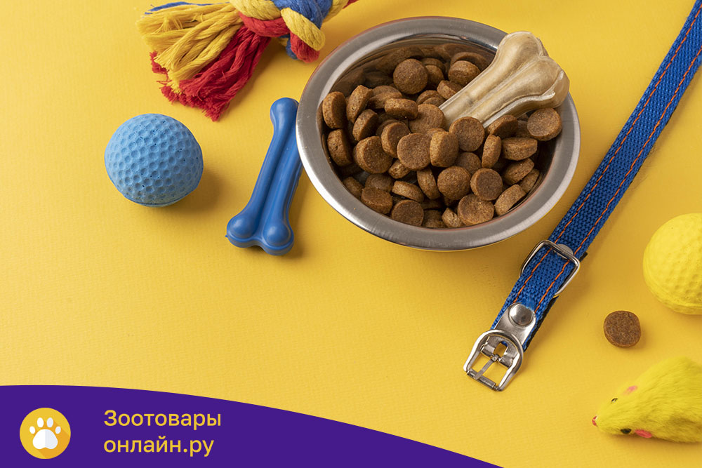 Полный гид: где купить качественные товары для животных в Санкт-Петербурге